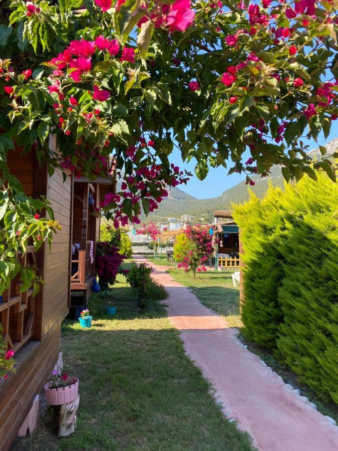 Karaoez Ada Bungalows & Villa Exterior foto
